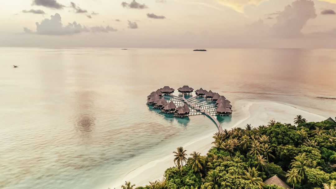 Coco Palm Dhuni Kolhu