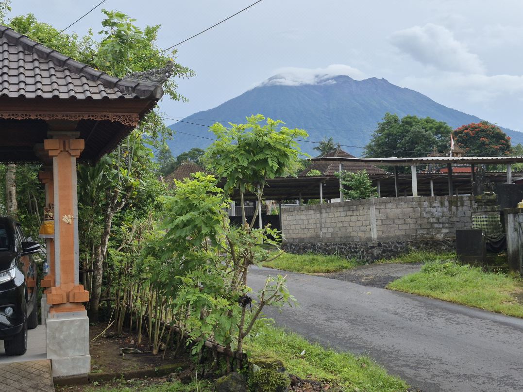 Villa Taman near Sidemen Bali