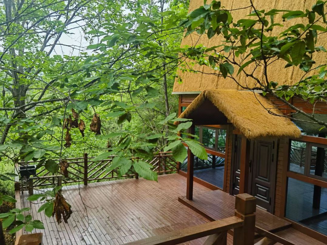 Langao Nanshan Villa
