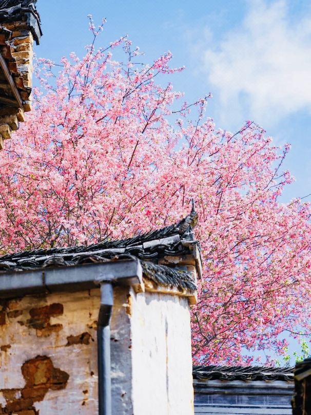 Yuheyi Homestay (Huangling Scenic Area Branch)