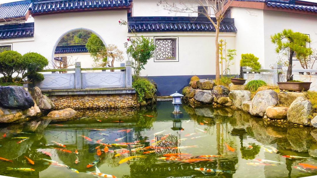 金寨蘭花莊園
