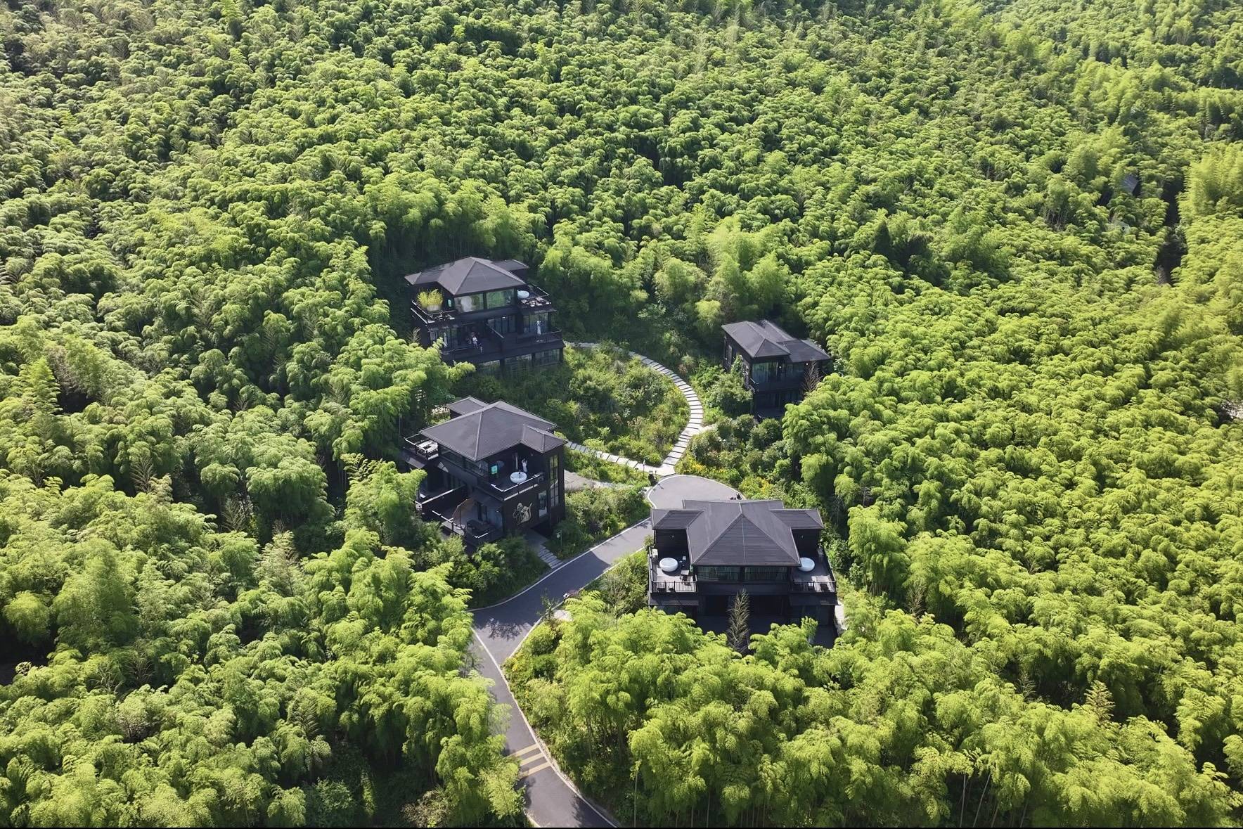 Жираф Манор Хучжоу — вилла-treehouse в бамбуковой роще, Чжэцзян