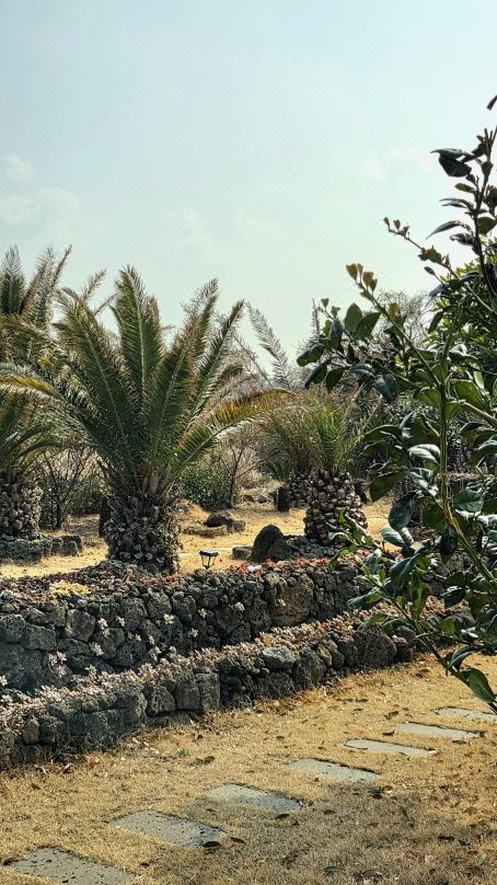sunset garden pension