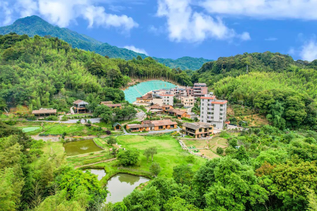 Guangzhou Linyun Homestay (Xitou Tourist Village Branch)