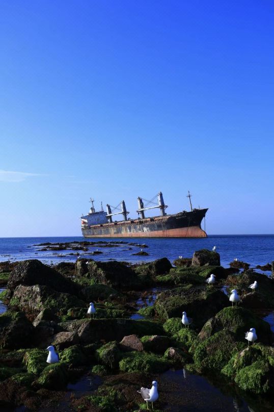Coral Sea Seaview Homestay (Rongcheng Naxianghai Shop)