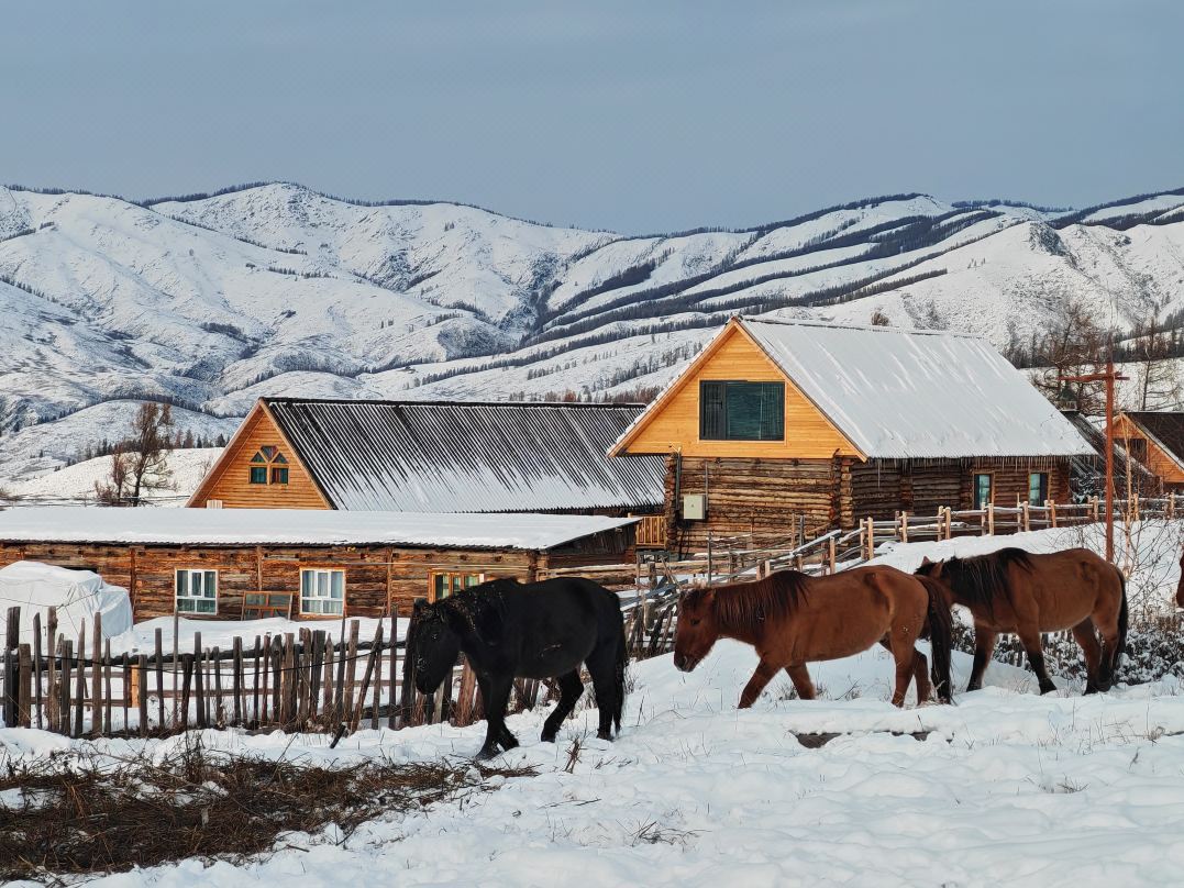 Pengyou Mountain Homestay (Baihaba New Village Store)