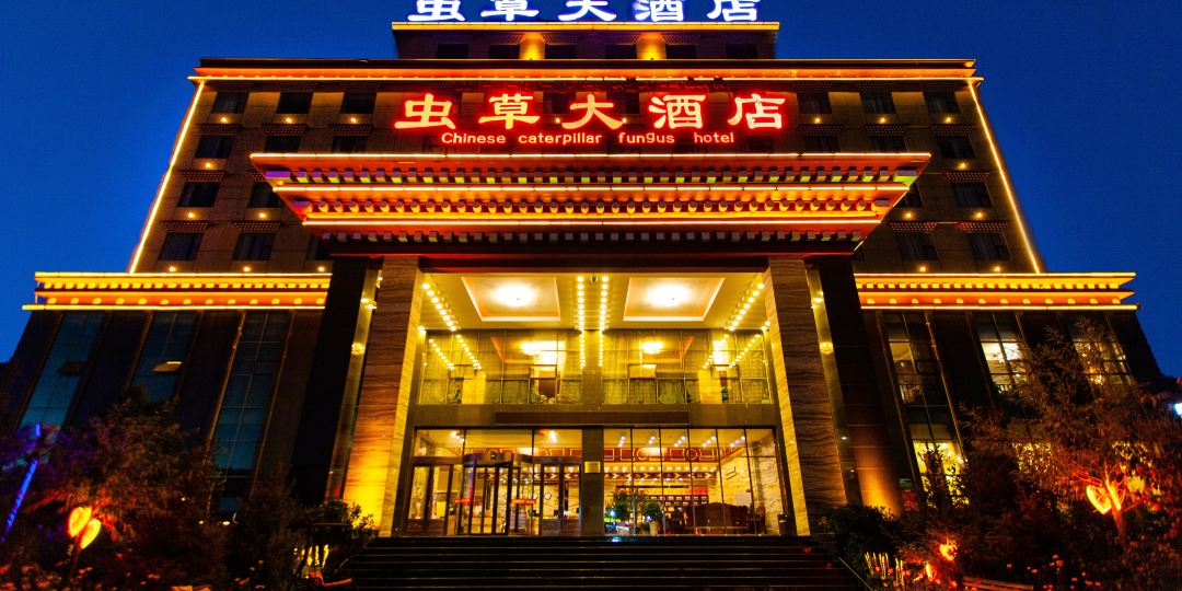 虫草大洒店