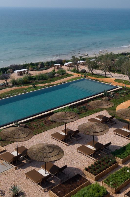 Found Land Whale Cliff Resort