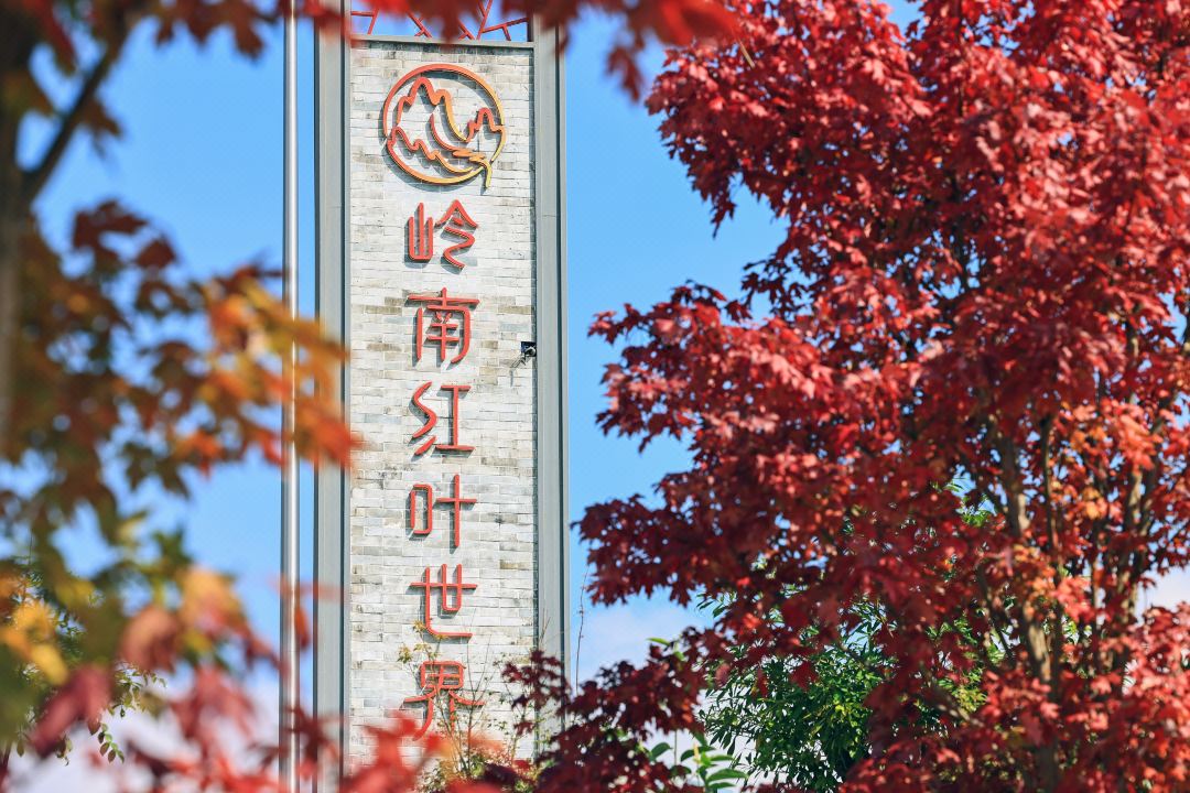 新豐嶺南紅葉世界