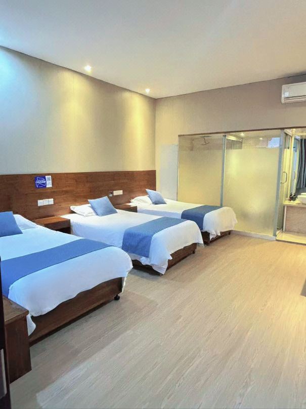 Huangshan Qingsong Boutique Hotel (Huangshan Scenic Area South Gate)