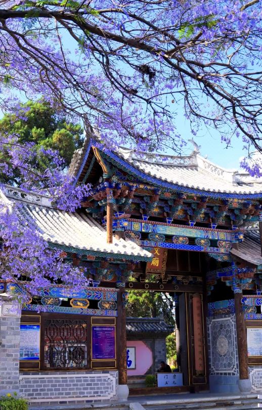 Hongyun Qingyuan · NanZhao Court | Linfeng Yaye Garden Holiday Accommodation