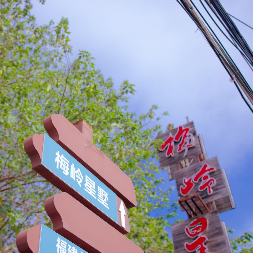 Meilingxingshu Mountain Villa