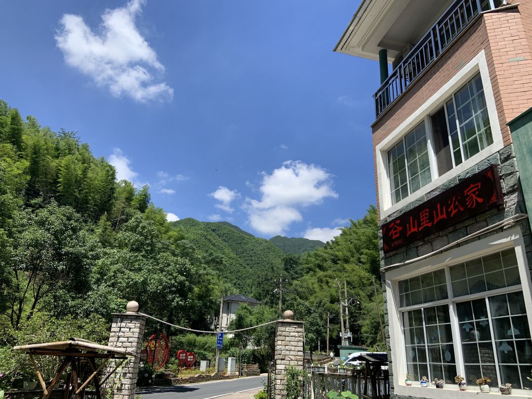 Shanlishan Farm Stay (Hangzhou Caihong Valley Scenic Area)