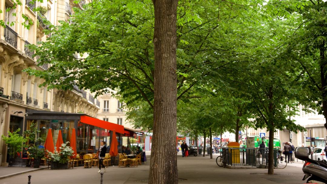 Spacious & chic flat with elevator access - Paris