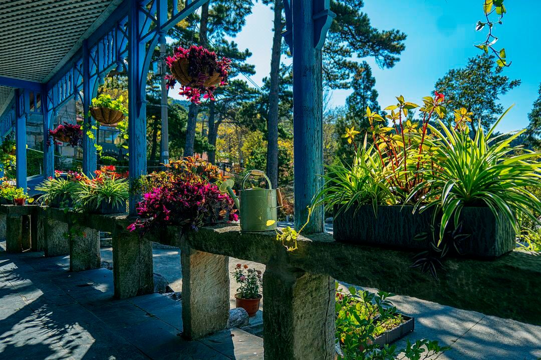 Rosegarden