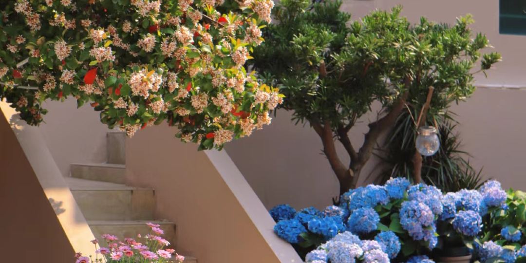 拈花·心舍民宿(深圳较场尾店)