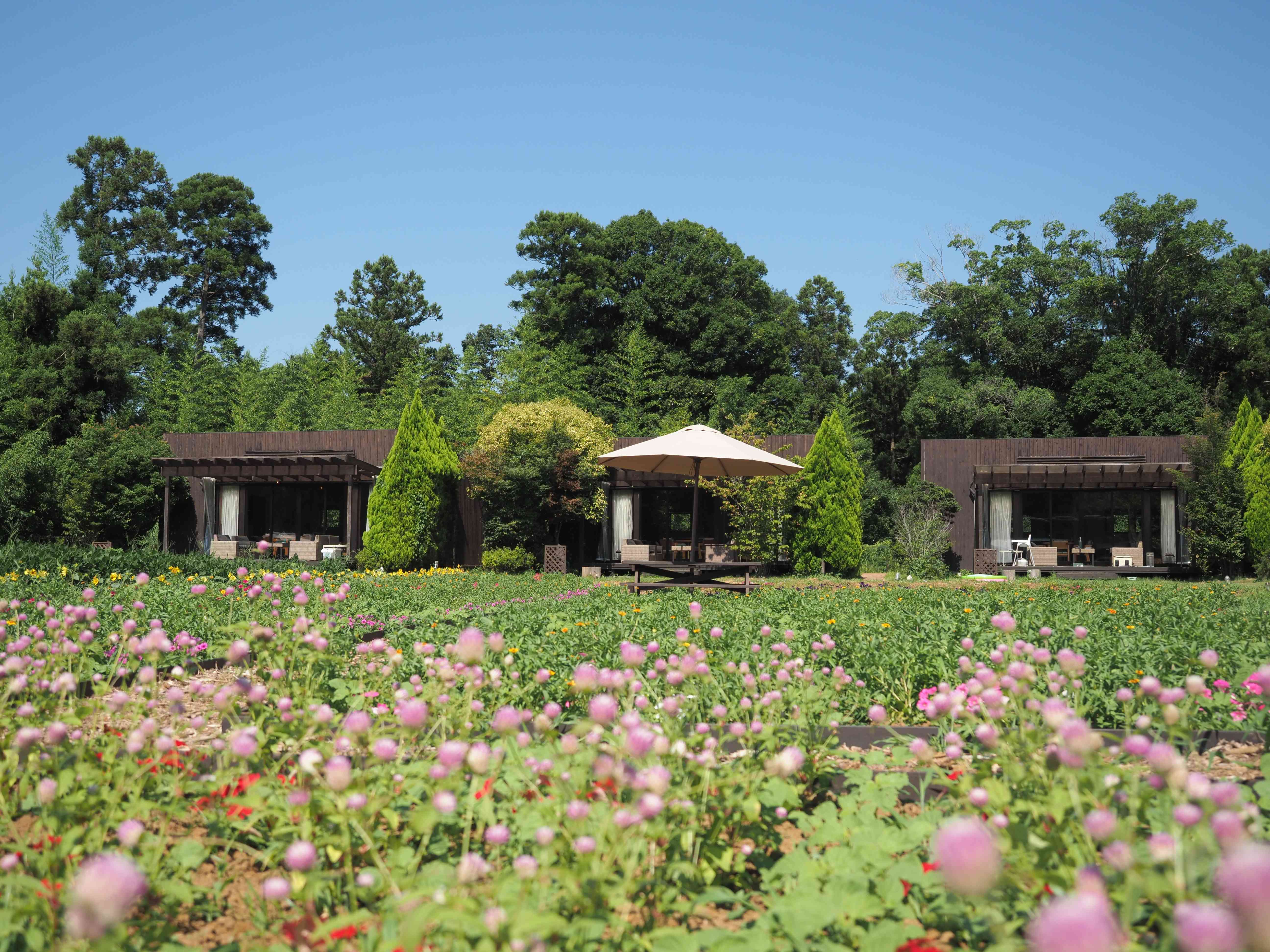 農園リゾート THE FARM