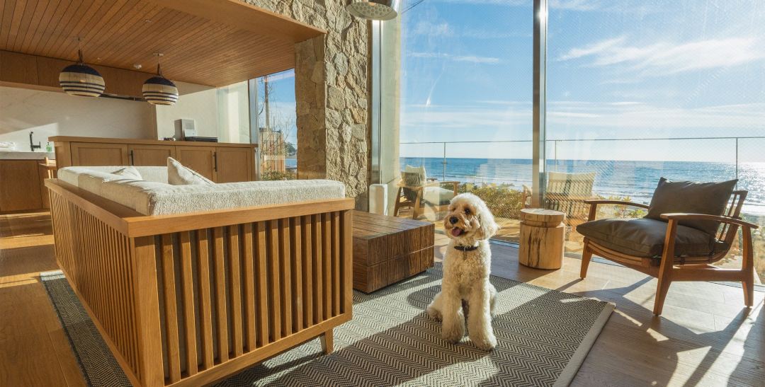 UMITO VILLA KAMAKURA Zaimokuza