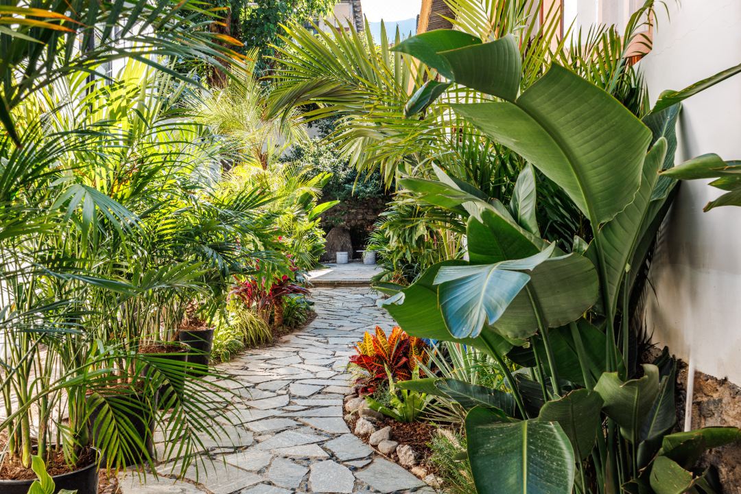 roused from sleep by a dream ·holiday Villa