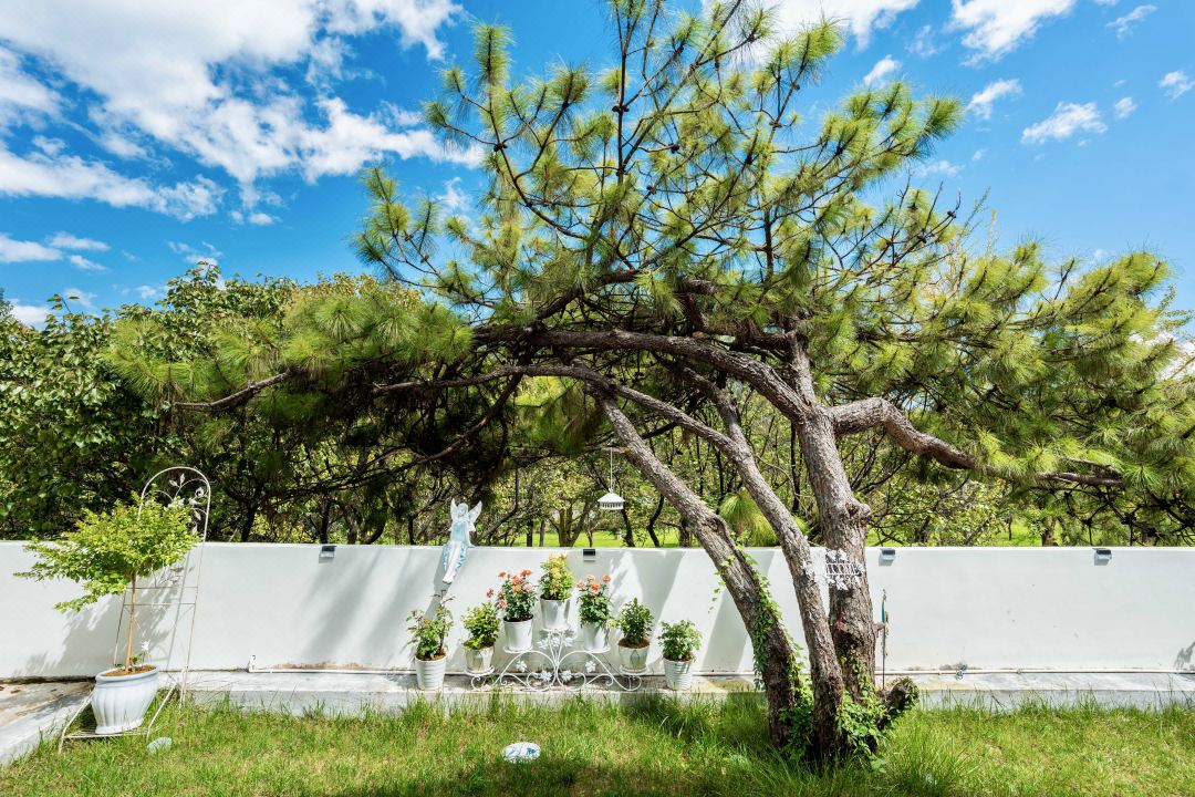 SONGTING VILLA
