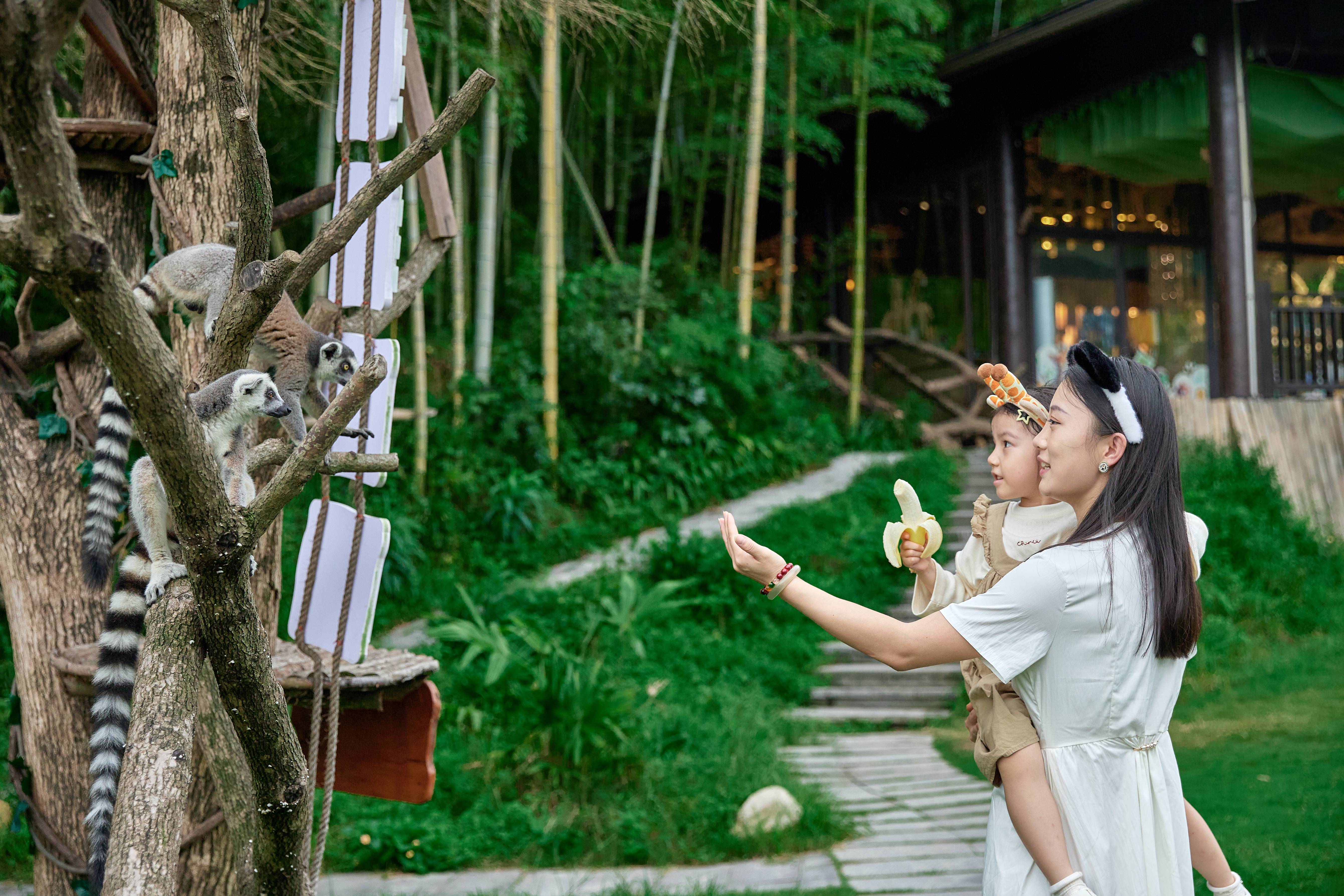 Жираф подходит к окну ресторана Giraffe Manor во время завтрака