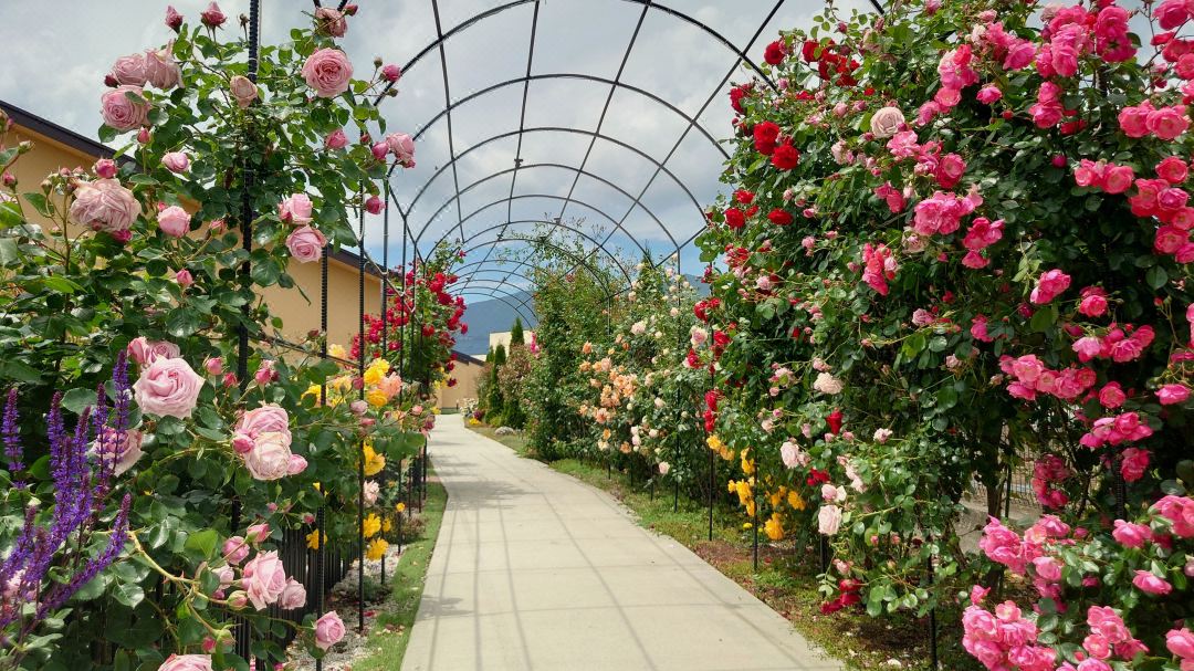 Hana no Yado Yumefuji 【Adults only】