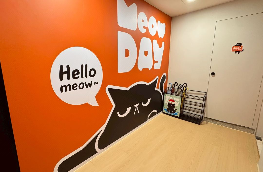 Meow Day Hostel