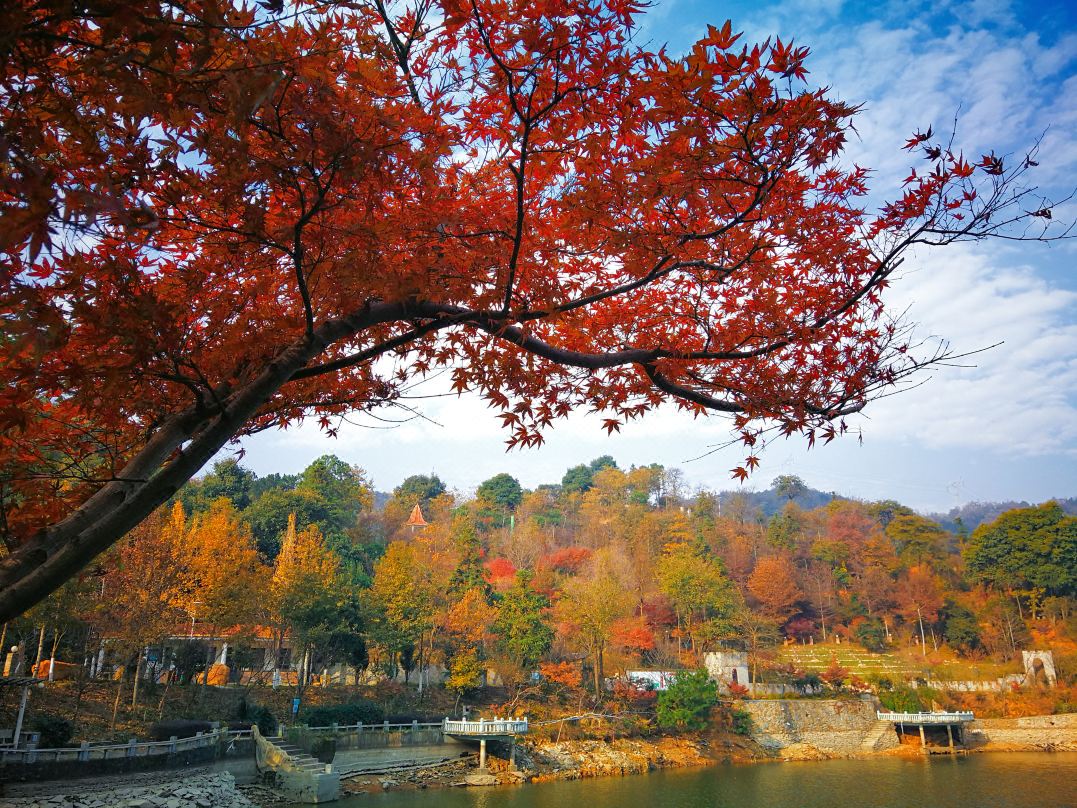 Zhongsheng Holiday Hotel