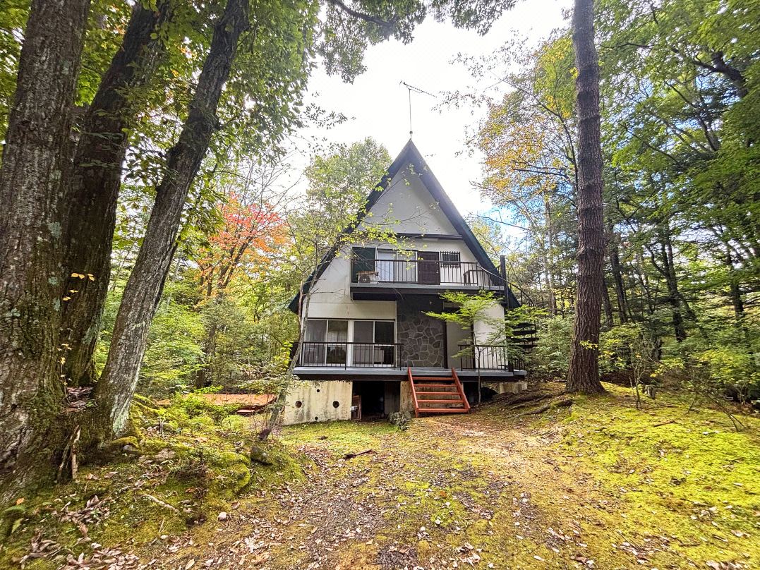 Kawa No Mori Villa Karuizawa - Ghibli-like Enchanted Riverside Moss Garden Forest Retreat