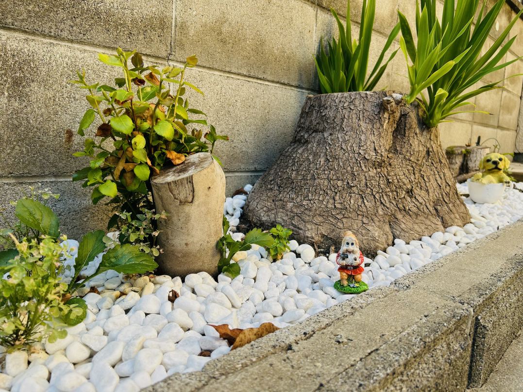 IIMO　House