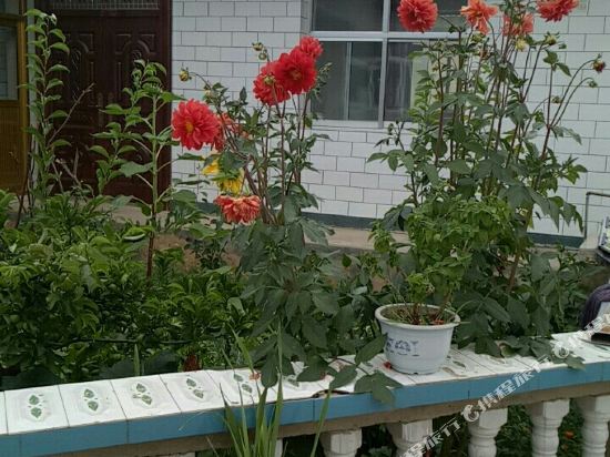 泾源美食每刻农家乐