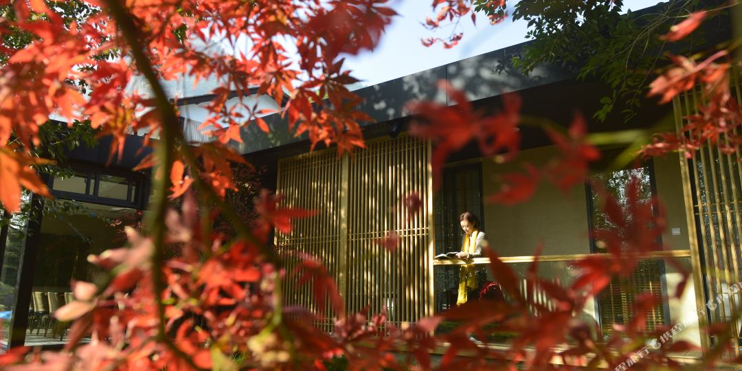 武夷山彝山兰若文化艺术生日美学馆