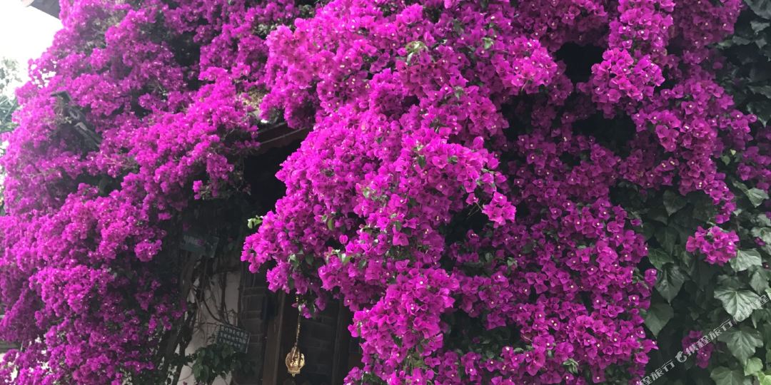 福临客栈(七一街八一上段)