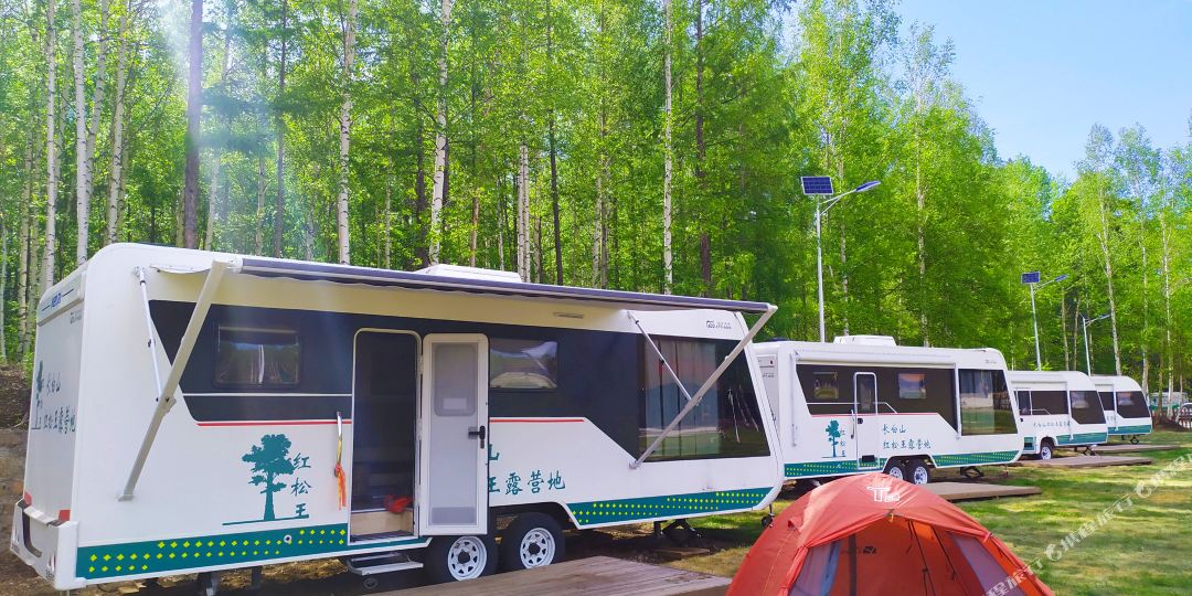 长白山红松王宿营地