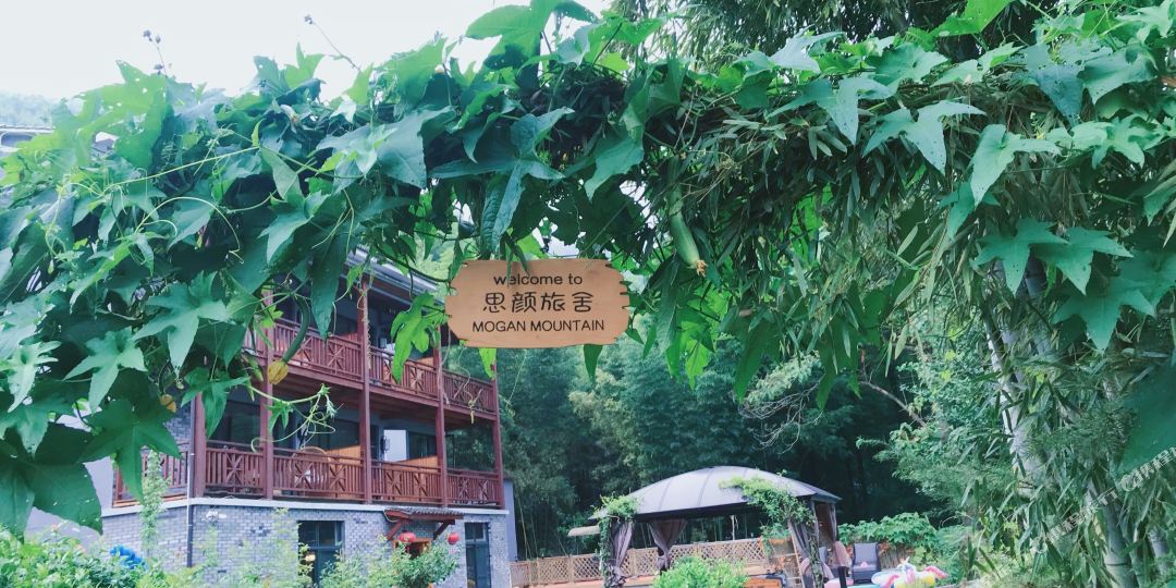 莫干山思颜茶园蛙宿