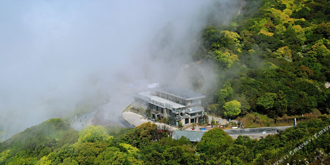 云上舍下森林民宿(金山森林公园店)