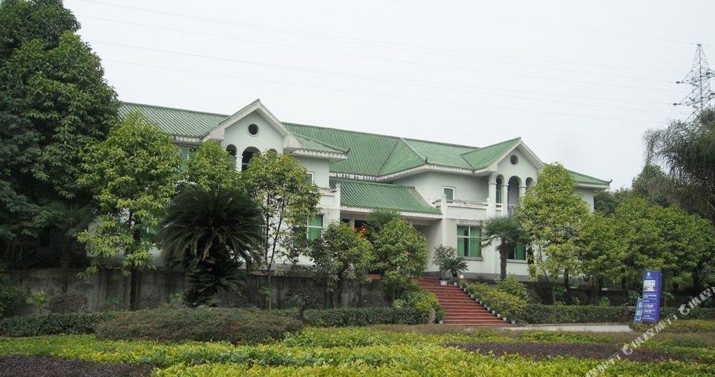 桃源国际大酒店