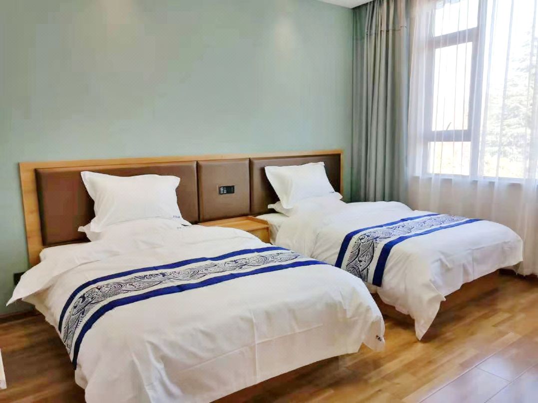 Alemu Hotel