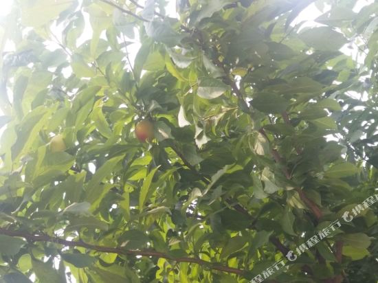 无锡云悠仙居客栈