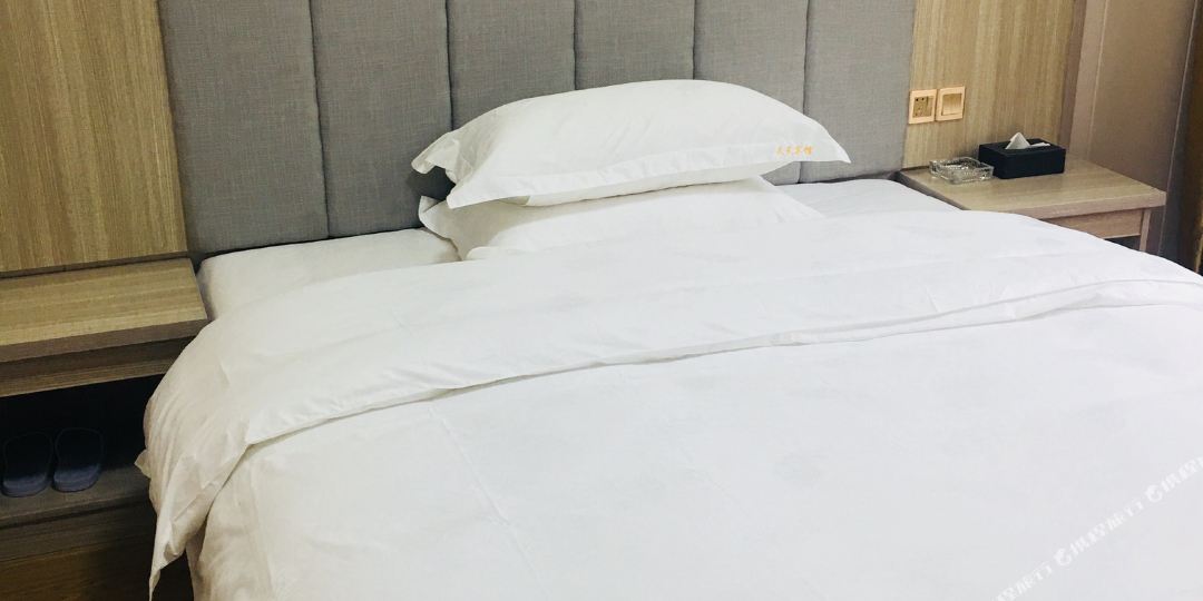 天天病管