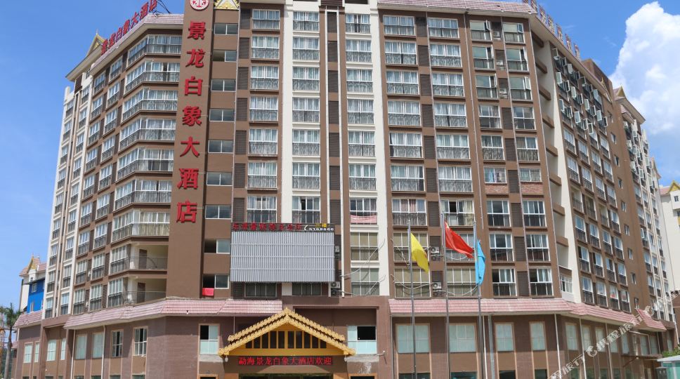 景龙白象大九点