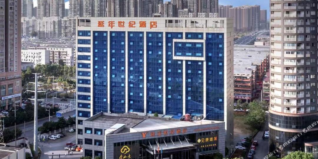 延年世纪九点