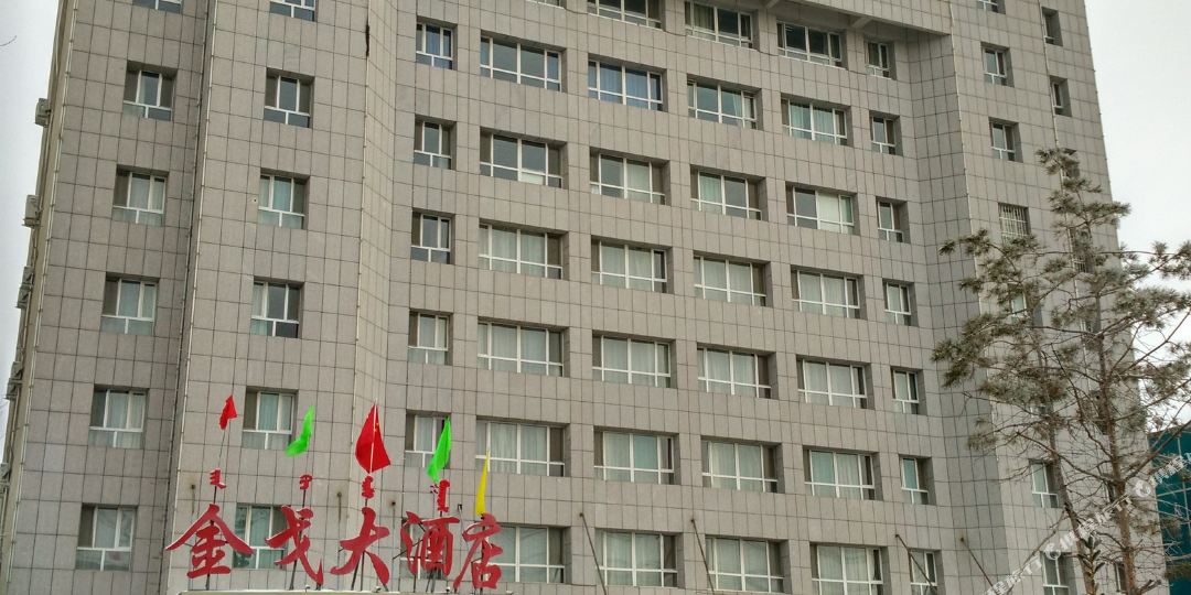 博乐金戈大九点