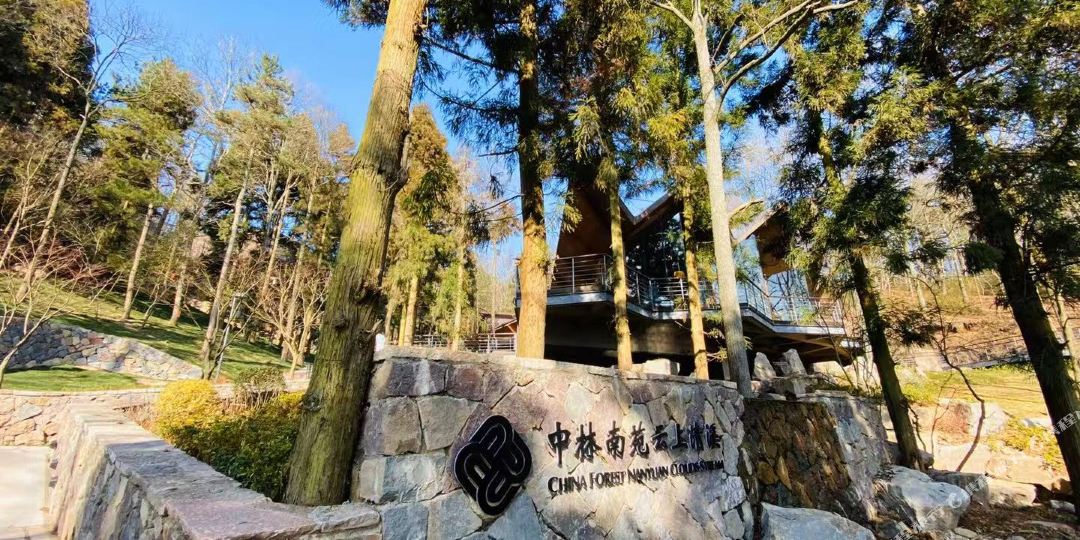 中林南苑云上清晰