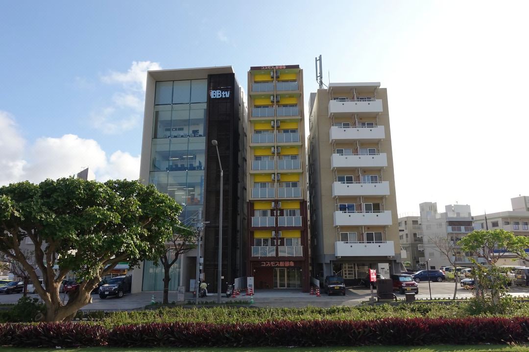 코스모스 신토신