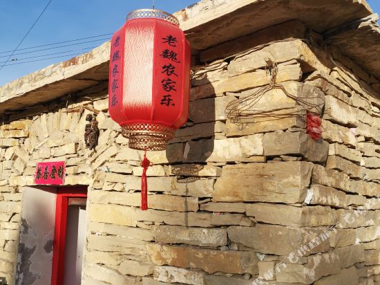 老魏农家院