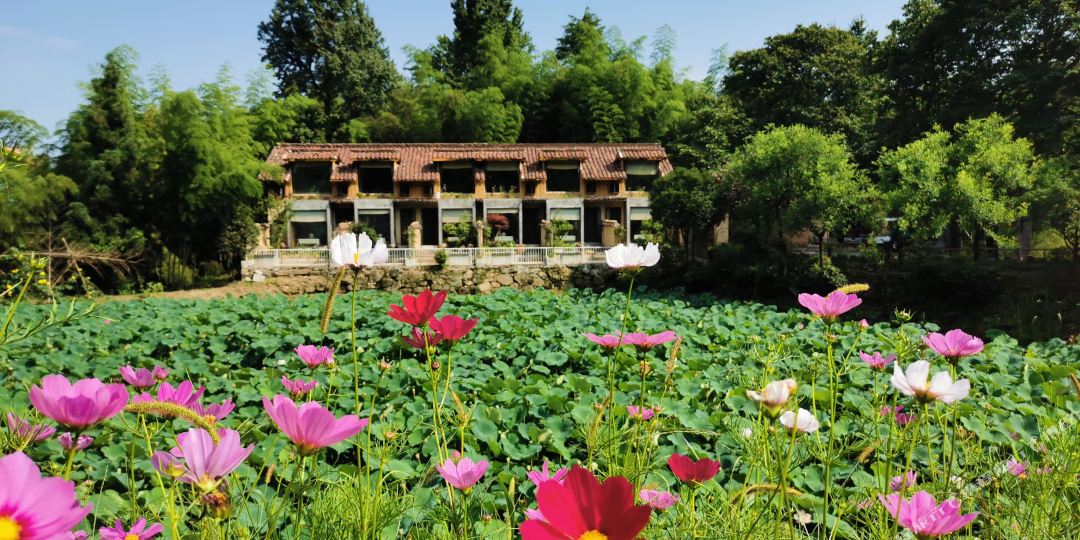 九华山东篱下悠然の山居