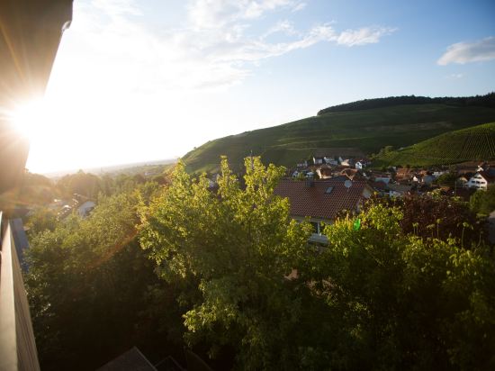 Hotel Heiligenstein Baden Baden Price Address Reviews