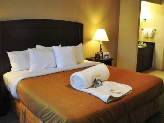 Homewood Suites By Hilton Dallas Market Center Dallas