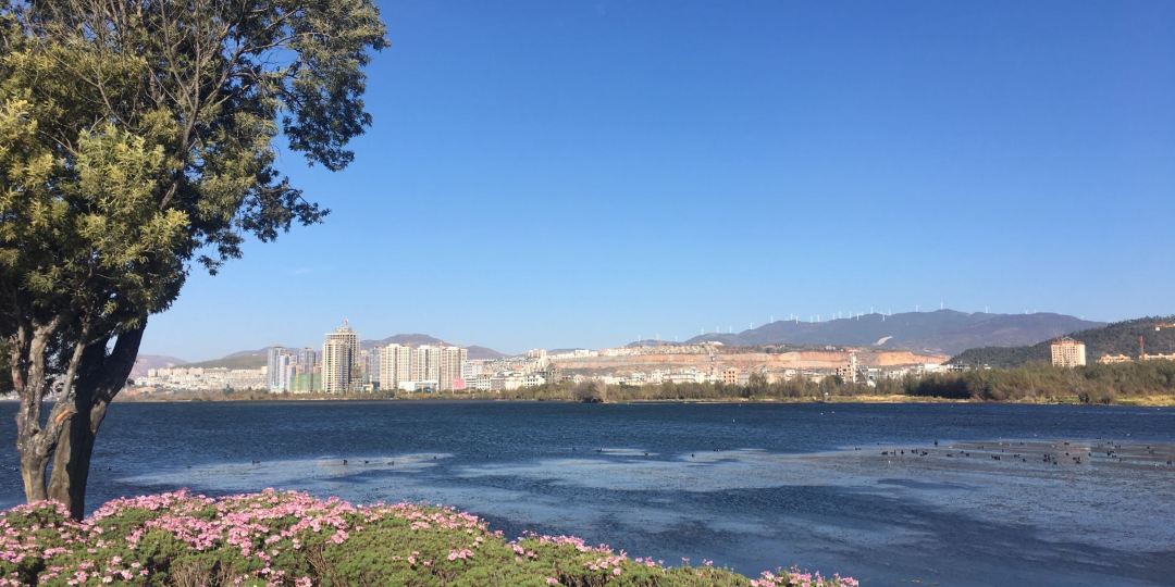 大理沐岑海茎民宿